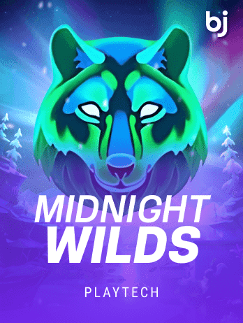 Midnight Wild thumbnail